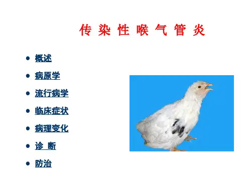 聊城大学农学院《禽病学》课件--病毒病之ILT