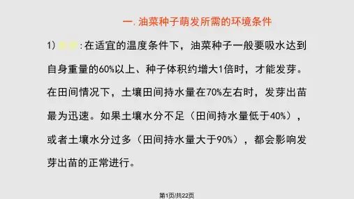 油菜栽培技术PPT课件