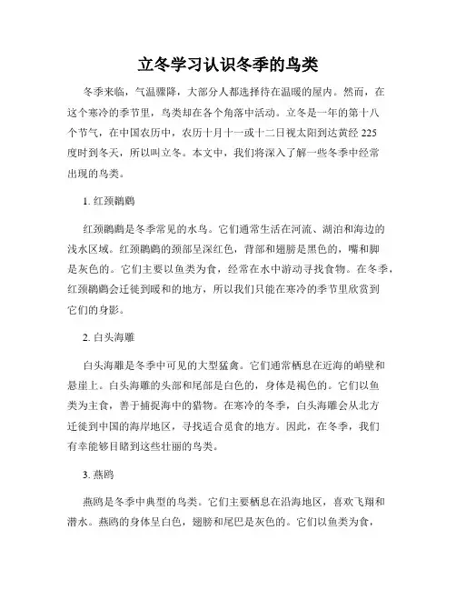 立冬学习认识冬季的鸟类