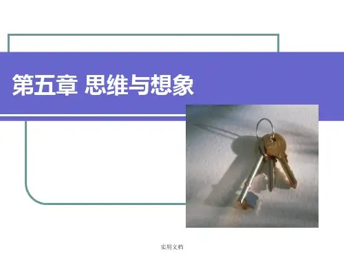 大学心理学第五章 思维与想象