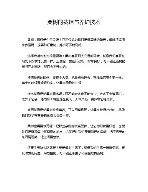 桑树的栽培与养护技术