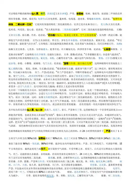 可以吸收甲醛的植物
