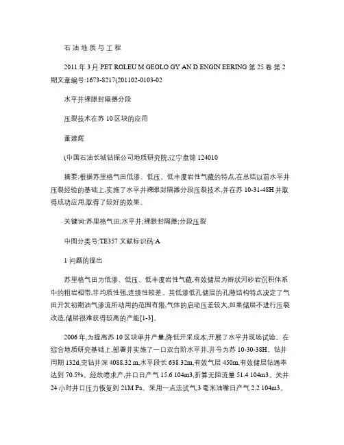 水平井裸眼封隔器分段压裂技术在苏10区块的应用解读