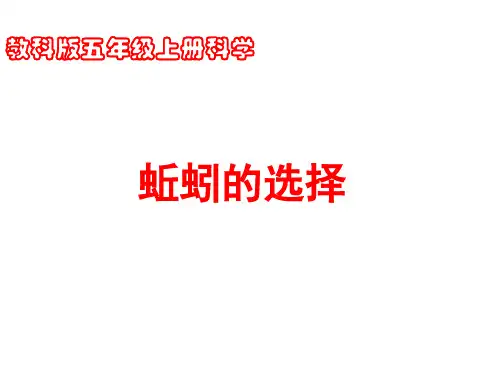 (教科版)五年级科学上册课件蚯蚓的选择