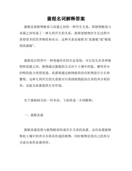 菌根名词解释答案