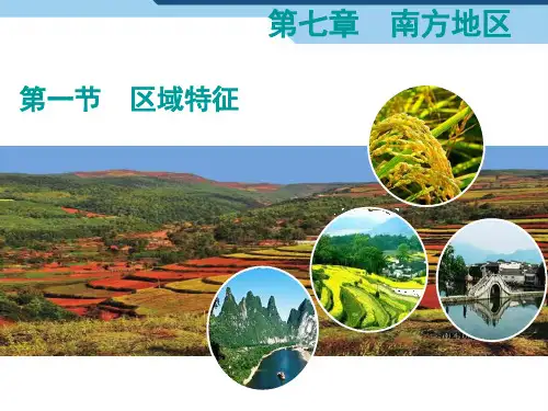 星球地理八年级下册第七章第一节  区域特征(共37张PPT)