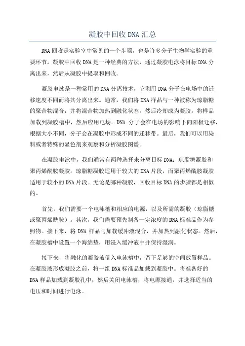 凝胶中回收DNA汇总