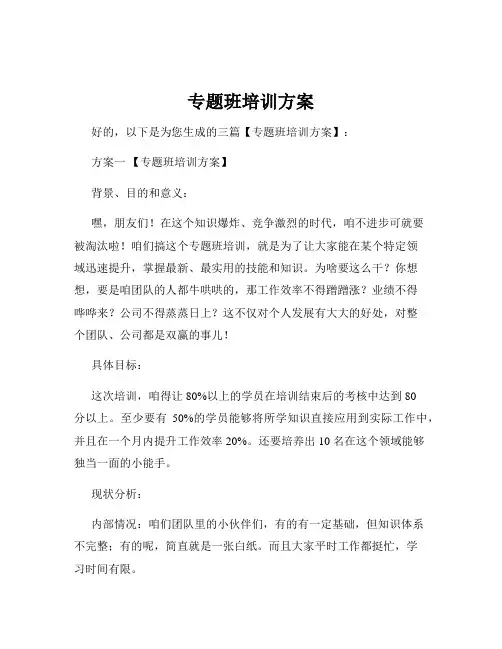 专题班培训方案