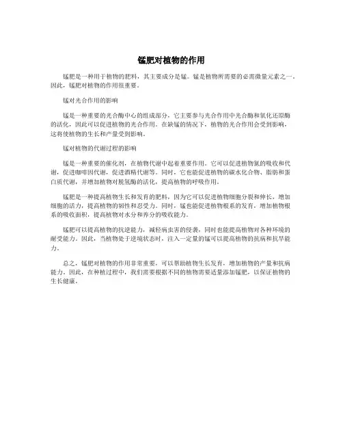 锰肥对植物的作用