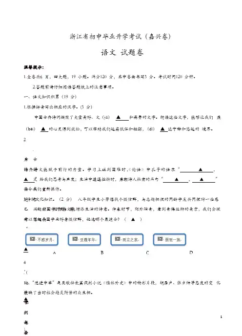 语文中考：嘉兴市中考语文真题【精品】