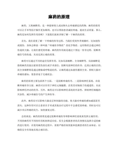 麻药的原理