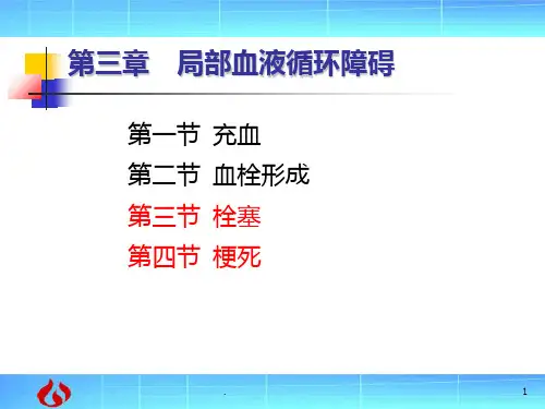 病理学：局部血液循环障碍PPT课件