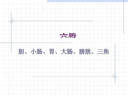六腑