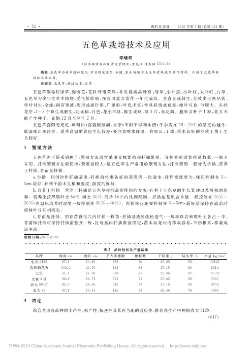 五色草栽培技术及应用