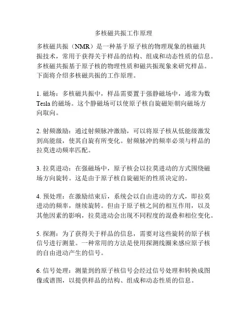 多核磁共振工作原理
