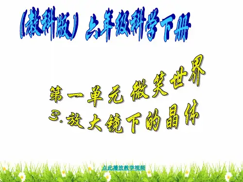 新科教版六年级科学下册《放大镜下的晶体》精品课件