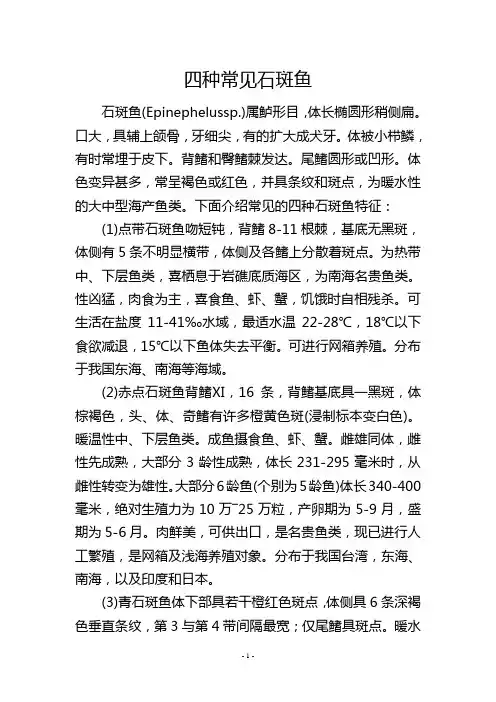 四种常见石斑鱼            