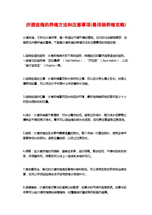 沙漠玫瑰的养殖方法和注意事项(最详细养殖攻略)