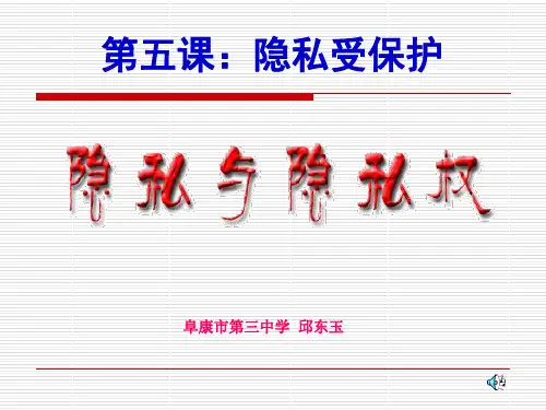 隐私和隐私权PPT精品文档20页