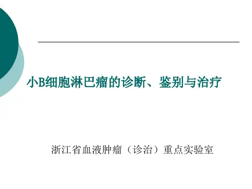 小B细胞淋巴瘤诊断鉴别及治疗演示精品PPT课件