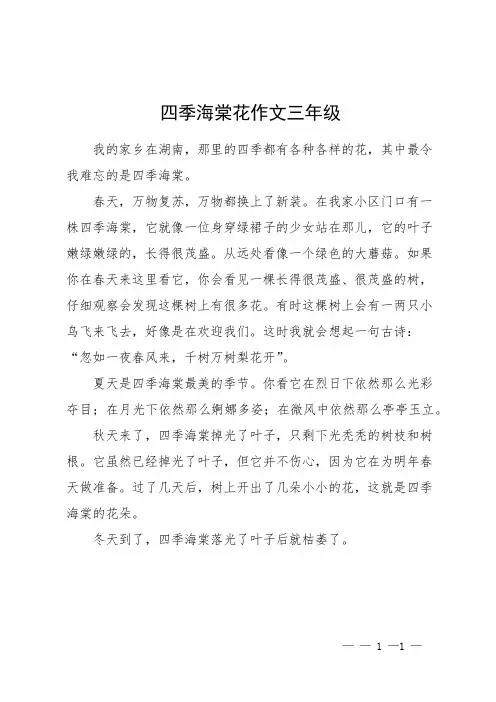 四季海棠花作文三年级