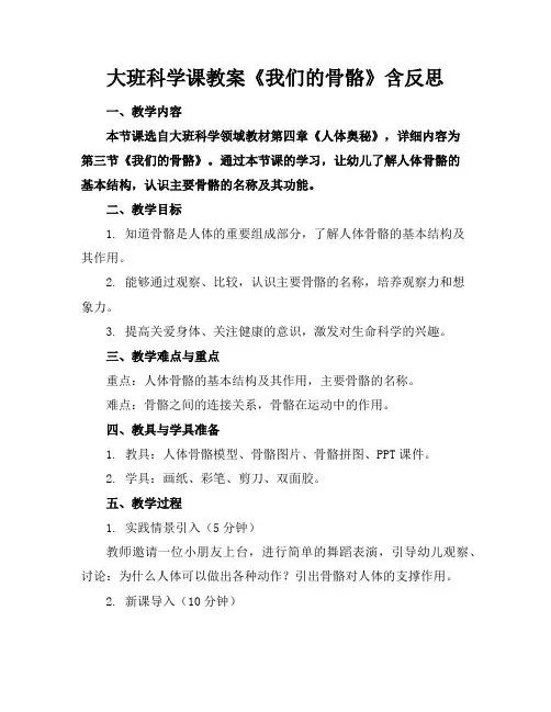 大班科学课教案《我们的骨骼》含反思