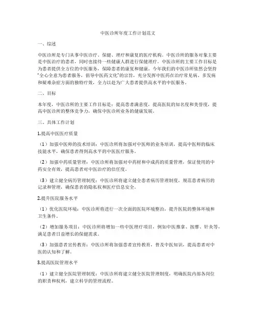中医诊所年度工作计划范文