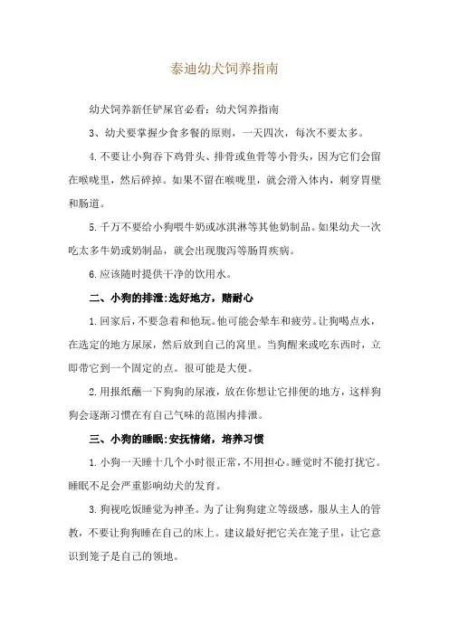泰迪幼犬饲养指南