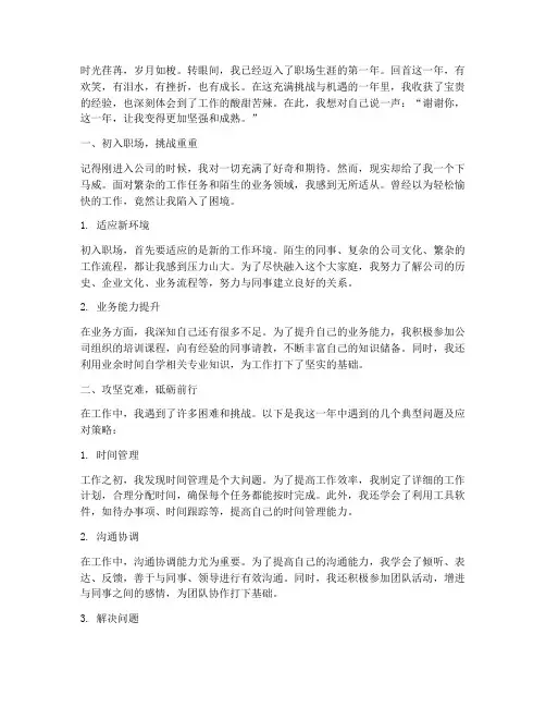 进入工作的第一年感言