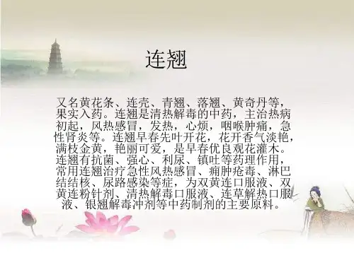 中草药-PPT