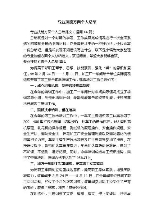 专业技能方面个人总结