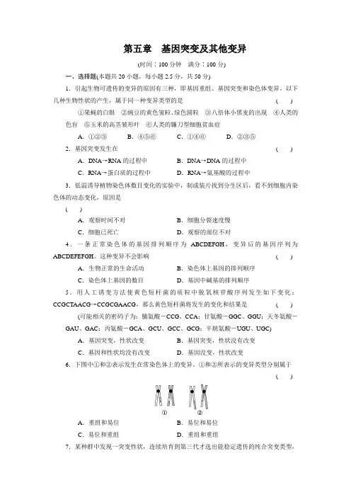 人教版必修二  第五章   基因突变及其他变异 单元检测