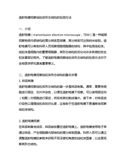 透射电镜观察线粒体形态结构的检测方法