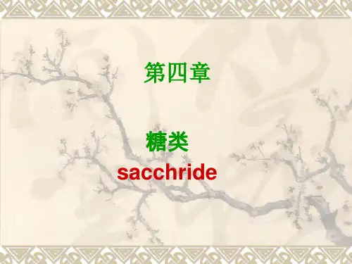 糖类的结构与功能
