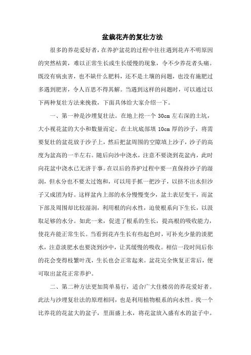 盆栽花卉的复壮方法
