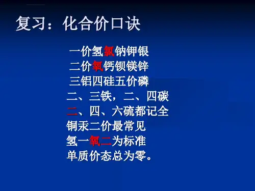 化学式的书写及简单化合物的命名ppt课件