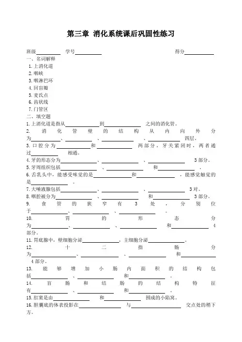 第三章 消化系统练习