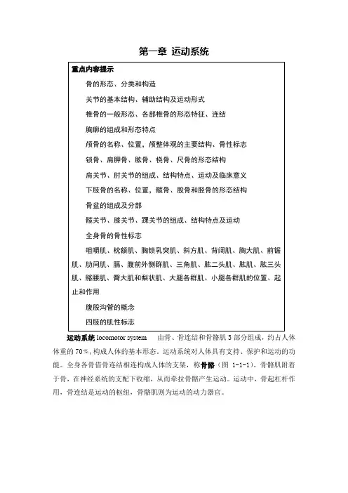 运动系统讲解