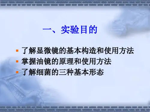 显微镜油镜的使用和细菌形态的观察