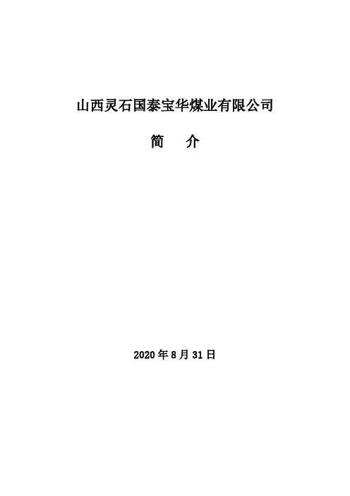 煤矿矿井简介(迎集团)