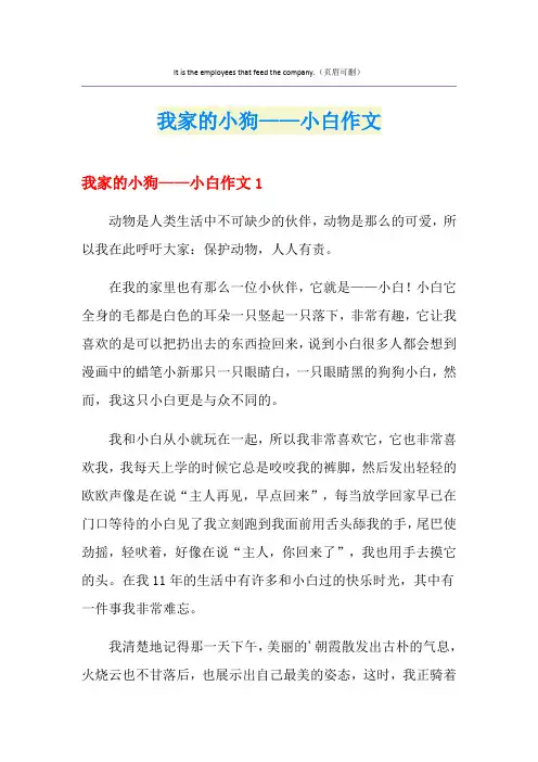 我家的小狗——小白作文