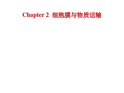 《细胞膜与物质运输》PPT课件
