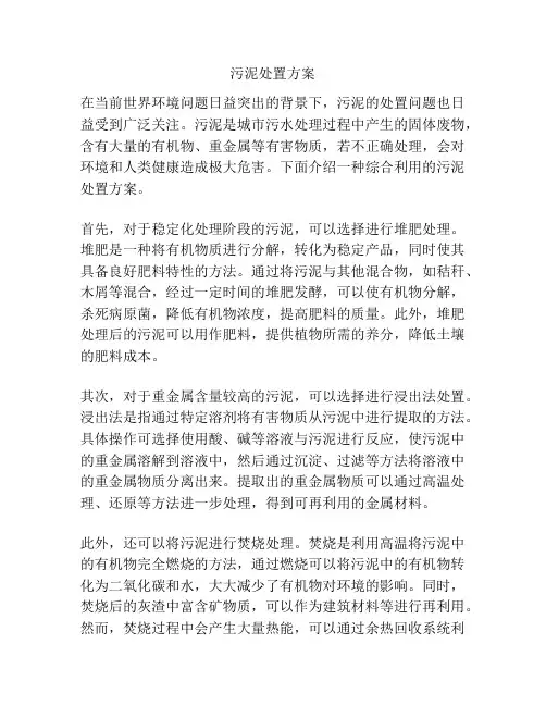 污泥处置方案