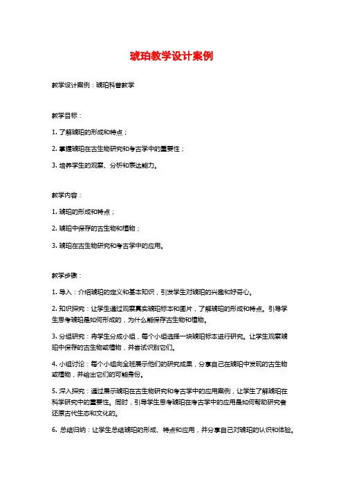 琥珀教学设计案例