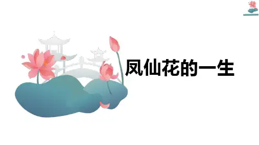 《凤仙花的一生》ppt课件