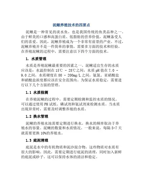 泥鳅养殖技术的四要点