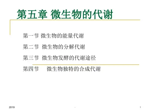 柠檬酸发酵ppt课件