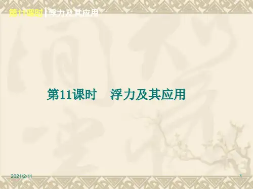 第11课时-浮力及其应用