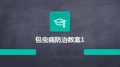 2024版包虫病防治教案1