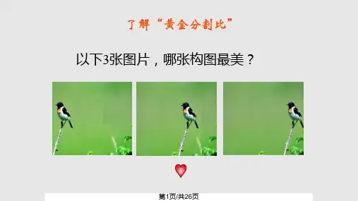 美术中的比例——黄金分割欣赏PPT课件